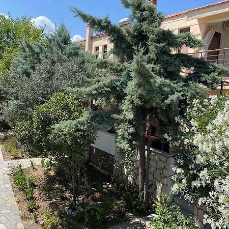 Papadopoulos Houses Nikiti  Extérieur photo