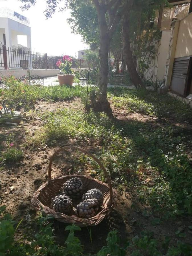 Papadopoulos Houses Nikiti  Extérieur photo
