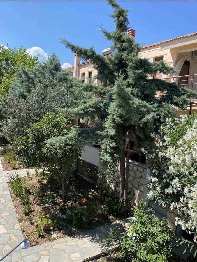 Papadopoulos Houses Nikiti  Extérieur photo